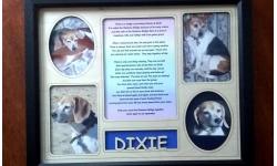 Pet Memorial Frame with Personalized Insert