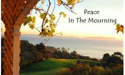 Peace In The Mourning - Alan Pedersen