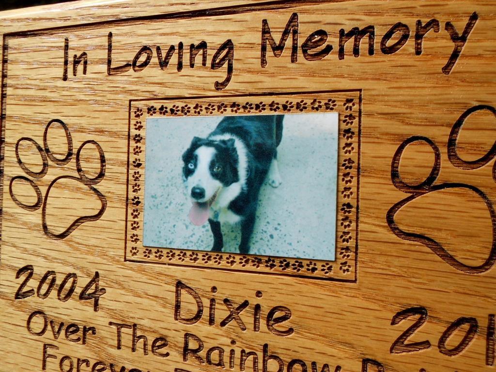 959 Custom Personalised Memorial Pets Dog Paw Prints Metal Aluminium Plaque Sign 