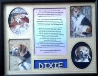 Pet Memorial Frame with Personalized Insert