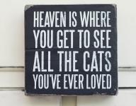 All The Cats... Box Sign All The Cats... Box Sign
