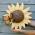 Handmade Sunflower Urn