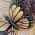 Sunflower Butterfly Urn Detail