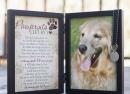 Pawprints Left by You Memorial Frame - Dog
